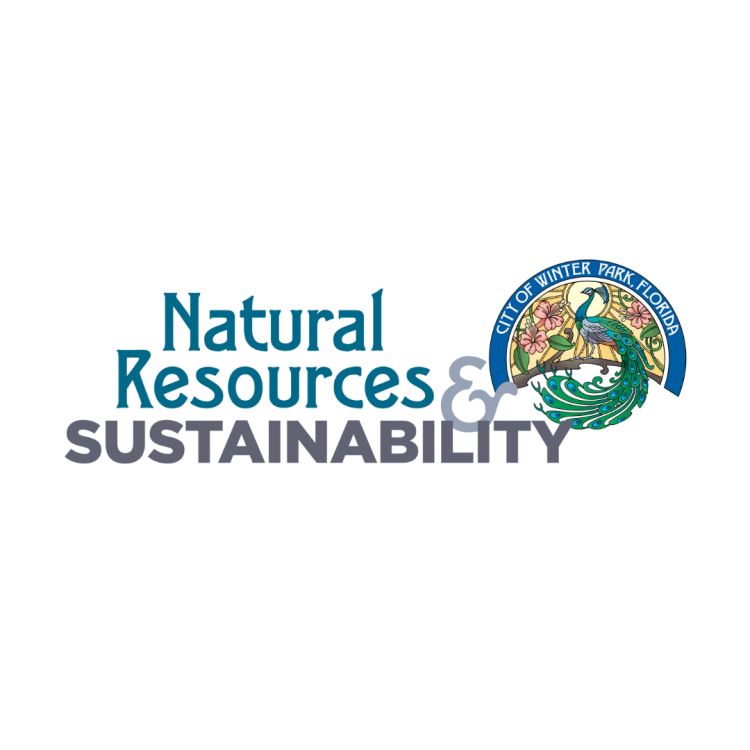 Natural Resources & Sustainability Logo